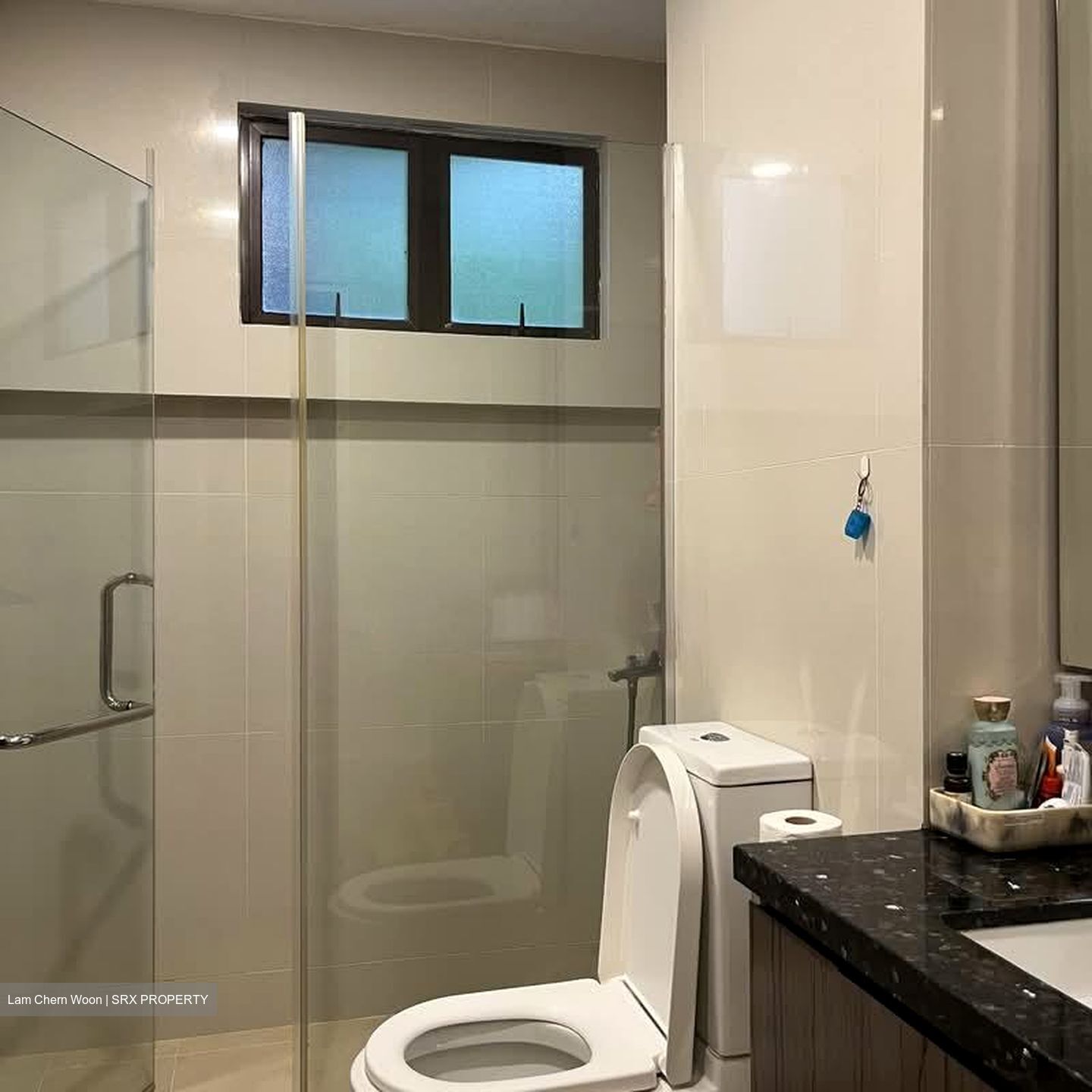 Tanglin Park (D10), Condominium #557817311
